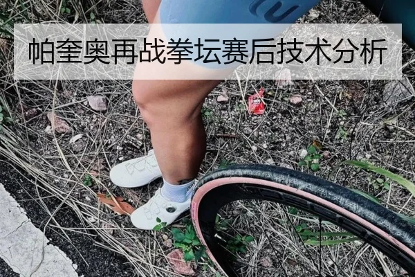 帕奎奥再战拳坛赛后技术分析